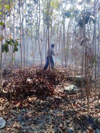 Lagi, hutan nglebak hangus